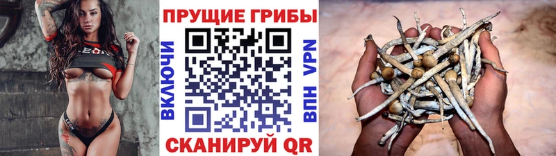 Псилоцибиновые грибы мухоморы Павловский Посад